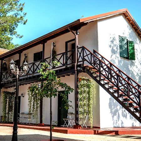 Pine View Boutique Hotel Adults Only Saittas Exteriér fotografie