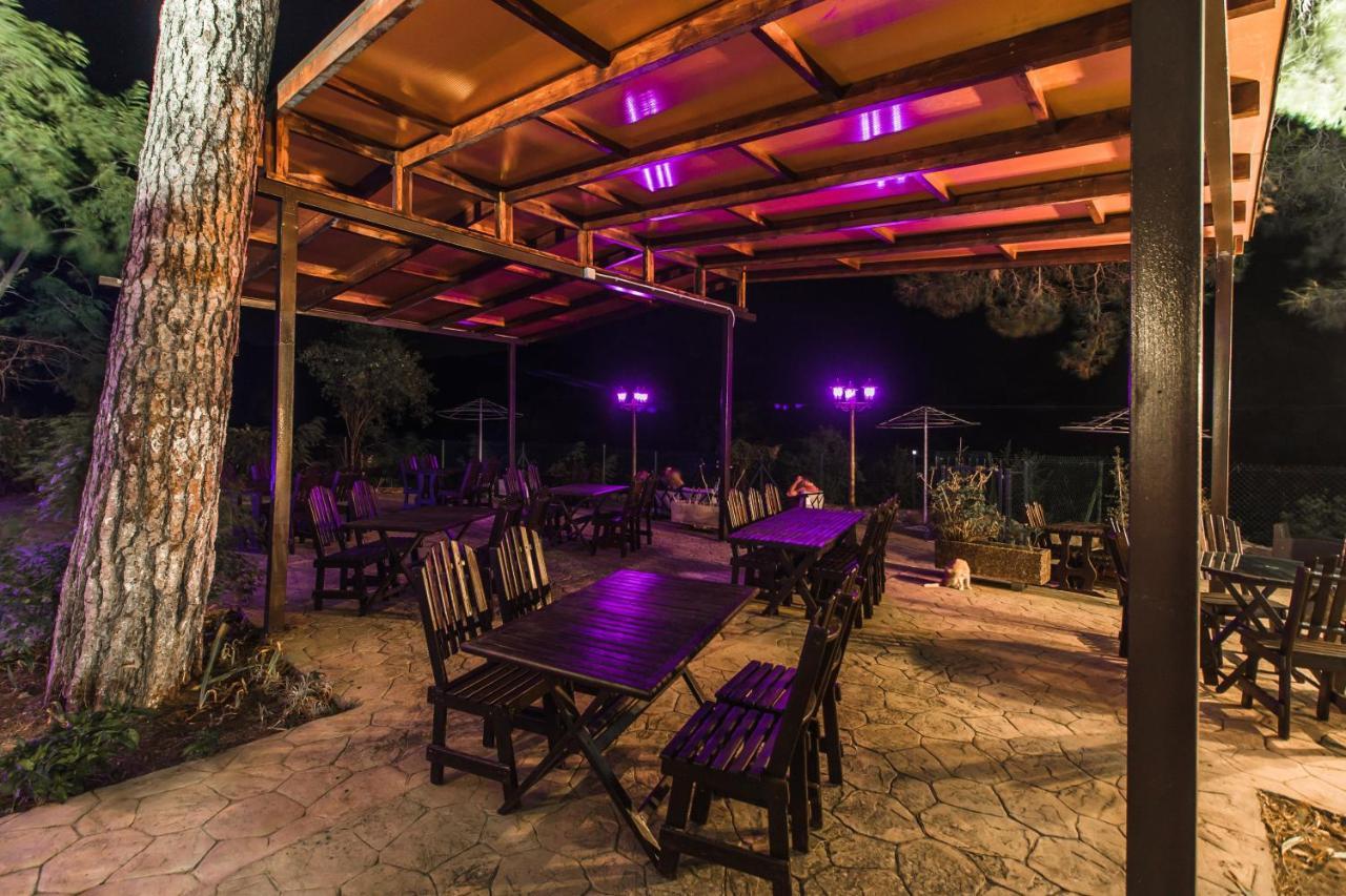 Pine View Boutique Hotel Adults Only Saittas Exteriér fotografie